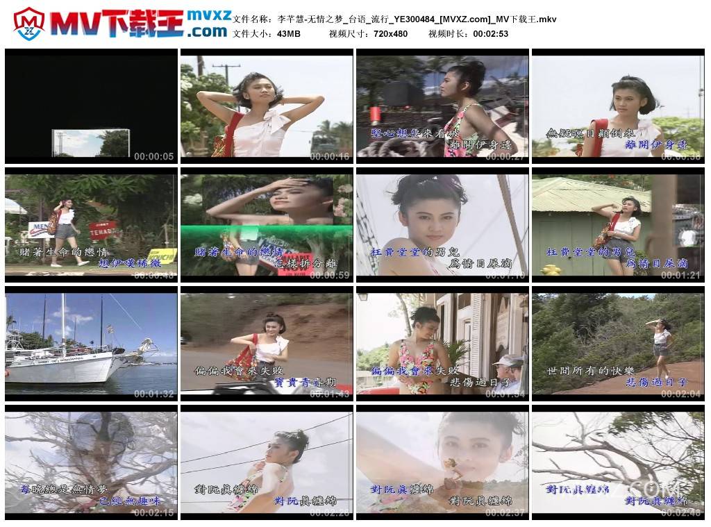 李芊慧-无情之梦_台语_流行_YE300484